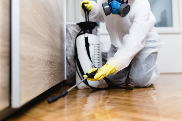 Best Flea Control Services  in Gloucester Courthouse, VA