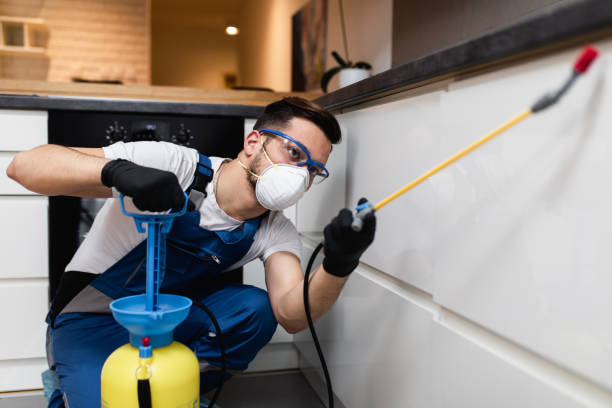 Best Best Pest Control Companies  in Gloucester Courthouse, VA