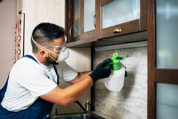 Best Cockroach Control Services  in Gloucester Courthouse, VA