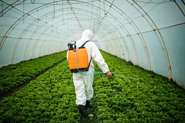 Best Affordable Pest Control Services  in Gloucester Courthouse, VA