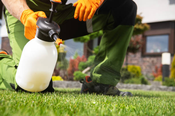 Trusted Gloucester Courthouse, VA Pest Control Experts