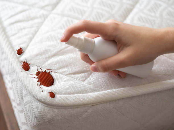 Best Bed Bug Extermination  in Gloucester Courthouse, VA